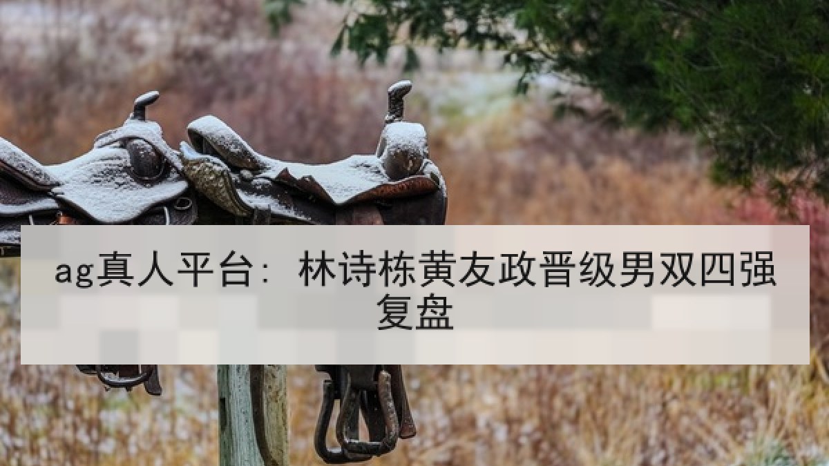 ag真人平台: 林诗栋黄友政晋级男双四强复盘