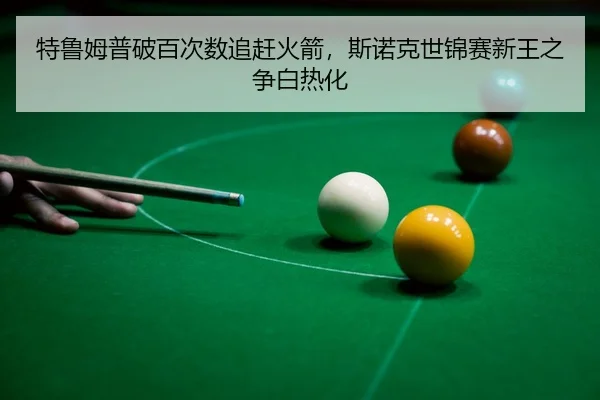 te-lu-mu-pu-po-bai-ci-shu-zhui-gan-huo-jian-si-nuo-ke-shi-jin-sai-xin-wang-zhi-zheng-bai-re-hua-3-617.jpg