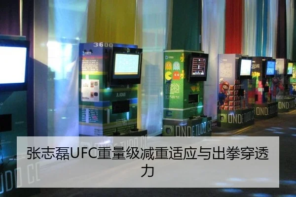 张志磊UFC重量级减重适应与出拳穿透力