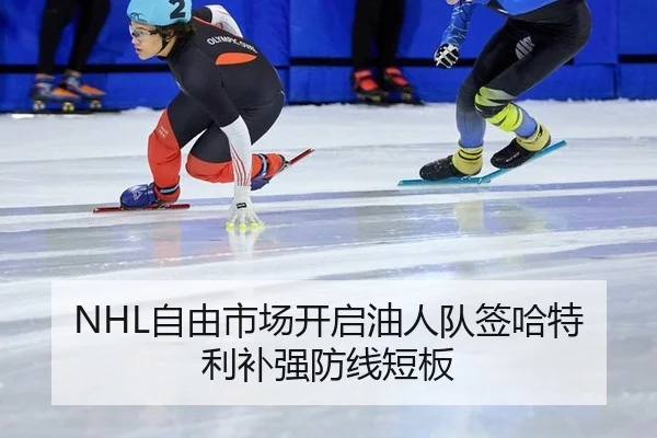 NHL自由市场开启油人队签哈特利补强防线短板