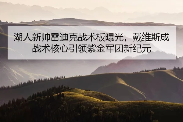湖人新帅雷迪克战术板曝光，戴维斯成战术核心引领紫金军团新纪元