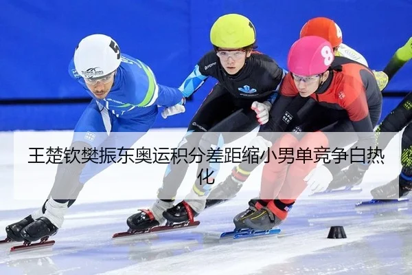 王楚钦樊振东奥运积分差距缩小男单竞争白热化