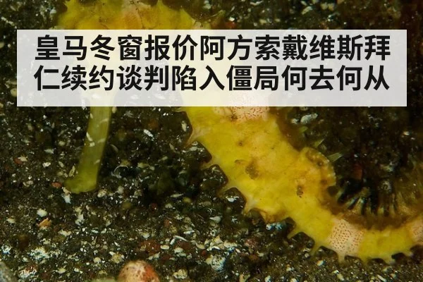 皇马冬窗报价阿方索戴维斯拜仁续约谈判陷入僵局何去何从