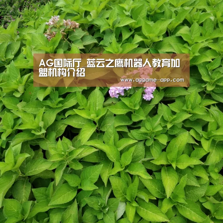 AG国际厅_蓝云之鹰机器人教育加盟机构介绍(图4) AG国际厅